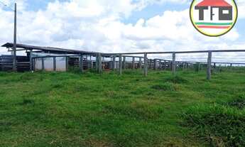Imagem 3: Fazenda à venda, 16456000 m² por R$ 23.800.000 - Zona Rural - Bom Jesus do Tocantins/Pará