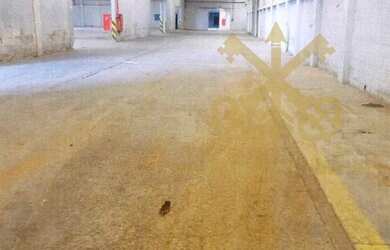 Imagem 3: Guarulhos - Galpão/Depósito/Armazém - Parque Uirapuru