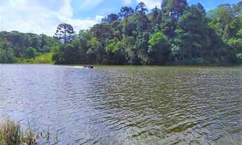Imagem: Área para Venda em Tijucas do Sul, São