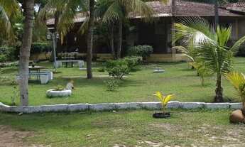 Imagem: Fazenda/Sítio/Chácara para aluguel possui