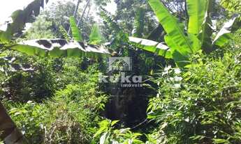 Imagem 4: Chácara/Sitio Chácara com venda por R$395.000