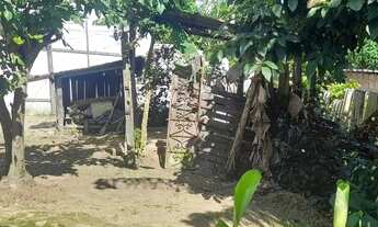 Imagem 2: Casa 5x5 m terreno grande