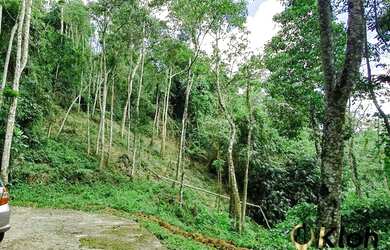 Imagem 2: Terreno Condominio Bosque do Ingelheim