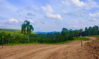 Imagem 3: Lotes em bairro formado