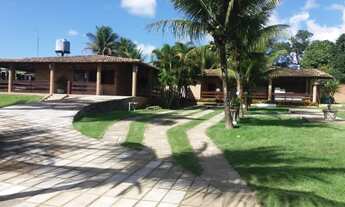 Imagem: Chácara para venda possui 3000 metros quadrados