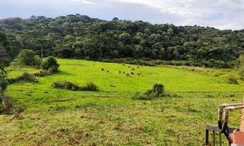Imagem: Fazenda Basquerote Silva