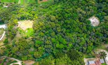 Imagem 7: Terreno à 5 minutos do Centro de Colombo, 18076 m² por R$ 343.000 - São João - Colombo/PR
