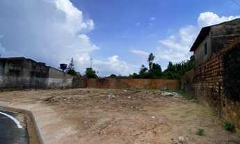 Imagem 3: LOTE COM 473m2 - PASSAGEM N. SRA. DE NAZARÉ -( MARIO COVAS) COQUEIRO, ANANINDEUA (PA)<b