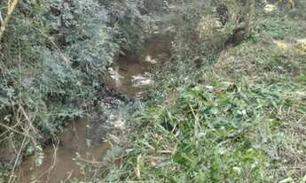 Imagem 9: Chácara Terreno