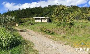 Imagem 2: Sítio / Chácara para Venda em Santa Maria do Herval, Padre Eterno Ilges, 1 dormitório, 1 b