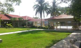 Imagem 6: VENDO EXCELENTE SÍTIO KM 47, AM-010