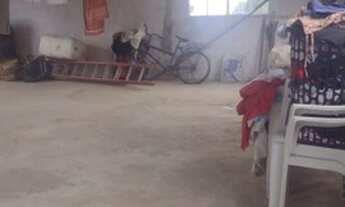 Imagem 6: Vende-se casa no Pechincha