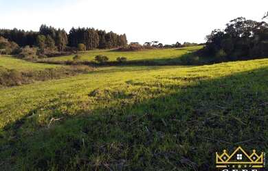Imagem 5: Sítio / Chácara para Venda em Três Coroas, Serra Grande