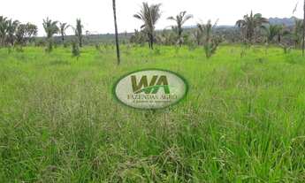 Imagem 2: Fazenda com grande potencial de apascentamento de gado