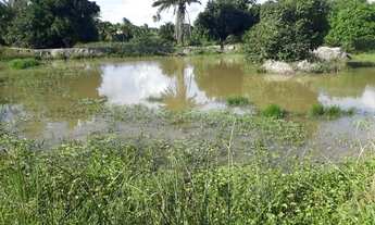 Imagem 3: Granja com 15 hectares na região de vera cruz estruturada