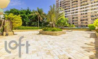 Imagem 14: PARQUE DAS ROSAS