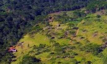 Imagem 5: Fazenda/Sítio/Chácara para venda com 360000 metros quadrados com 5 quartos em Centro - Uru