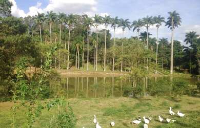 Imagem 4: Terreno - Joapiranga - Valinhos