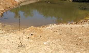 Imagem 3: Terrenos em Jequitibá. Financiamento próprio. Adquira sua fazendinha