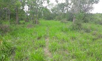 Imagem 5: Excelentes Fazendinhas Com Água Luz Lagoa Cerca na região de Sete Lagoas MG