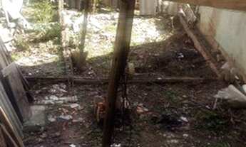 Imagem 2: Vendo Casa com 5 Cômodos e Garagem