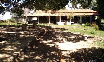 Imagem 6: Chácara em Abrantes