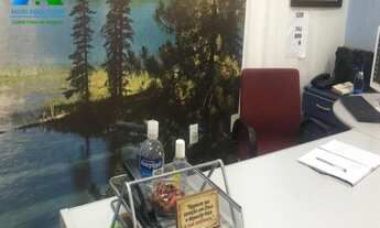 Imagem 3: Excelente Loja com 242,43m²