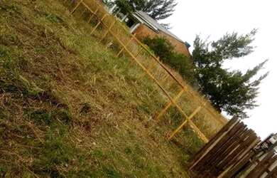 Imagem 2: Barbada vendo terreno quintao