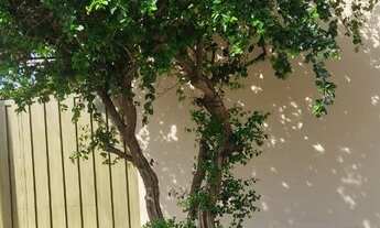 Imagem 3: Oportunidade - Casa + Edícula