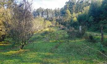 Imagem: Otima chácara para pecuária, localizada