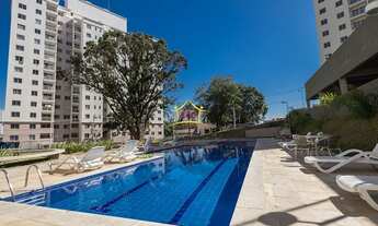 Imagem 1: BELO HORIZONTE - Padrão - Paquetá