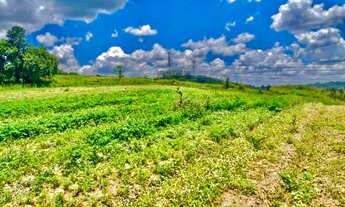 Imagem 6: Lote/Terreno para venda possui 500 metros quadrados em Centro - Cotia - SP