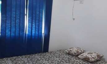 Imagem 6: Alugar casa e pau amarelo