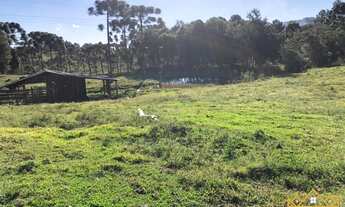 Imagem 5: Sítio / Chácara para Venda em Gramado, Serra Grande