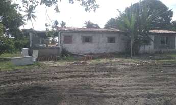 Imagem 4: Sitio vende-se(valor à negociar