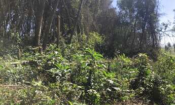 Imagem 2: 01Lote/Terreno para venda com 1000 metros quadrados com 1 quarto em Verava - Ibiúna - SP
