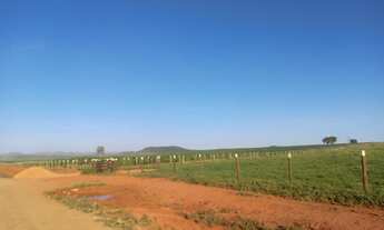 Imagem: Fazenda/Sítio/Chácara para venda possui