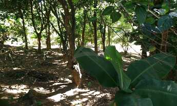 Imagem 2: Terreno - Sousas - Campinas