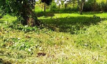 Imagem 3: Terreno 80x50 São Lourenço da Mata