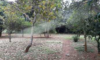 Imagem 3: Chácara - Aluga-se ou vende