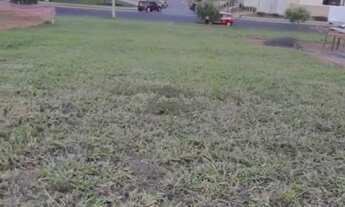 Imagem 2: Terreno - Swiss Park - Campinas