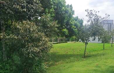 Imagem 3: Lote/Terreno para venda condomínio Granja Anita tem 327 metros Mogi das cruzes