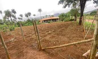 Imagem 4: Terreno de 1000m