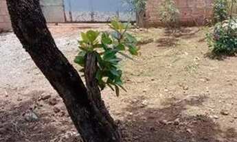 Imagem 6: Vendo terreno no Ipanema - Valparaiso