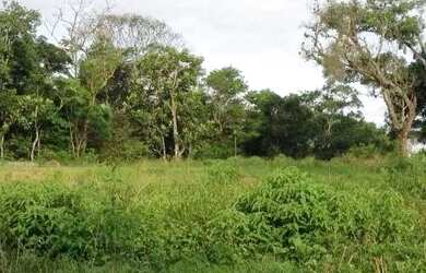 Imagem 3: Sitio com 32.000m² porteira fechada