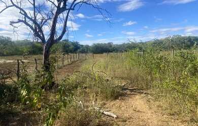 Imagem 3: Terreno em camarinhas 5000 metros