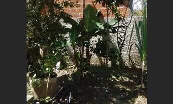 Imagem 4: Casa na praia Casa com 4 dormitórios