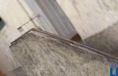 Imagem 4: CASA TÉRREA - VILA GUIOMAR - SP