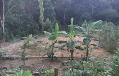 Imagem 3: Linda chácara a venda