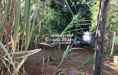 Imagem 3: Casa com terrreno de 360 m2